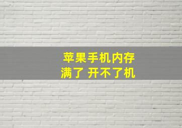 苹果手机内存满了 开不了机